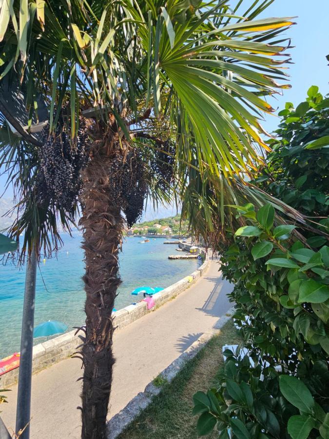 Apartmani Markovic Kotor Luaran gambar